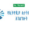 Ethiopian Statistics Service